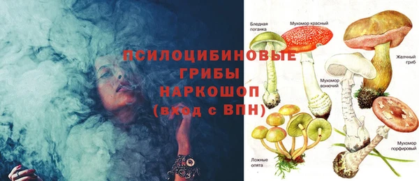 спиды Володарск